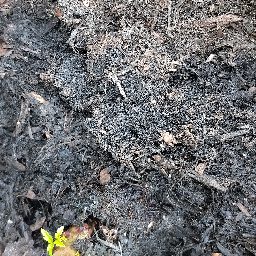 Photo_soil_06.jpg