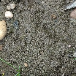 Photo_soil_07.jpg