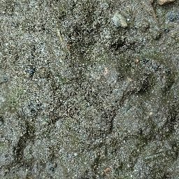 Photo_soil_08.jpg