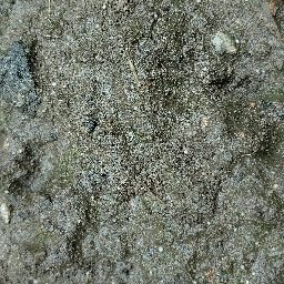 Photo_soil_09.jpg