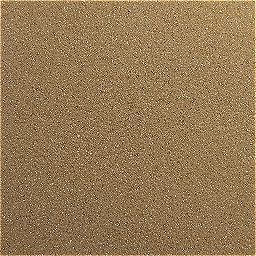 Photo_sponge_01.jpg