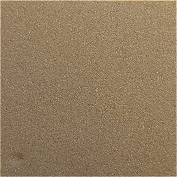 Photo_sponge_02.jpg