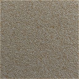 Photo_sponge_03.jpg