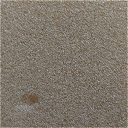Photo_sponge_04.jpg