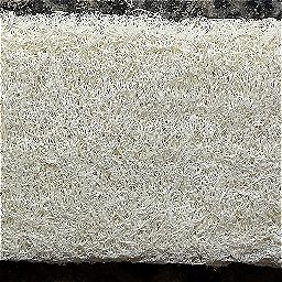 Photo_sponge_05.jpg