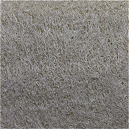Photo_sponge_06.jpg