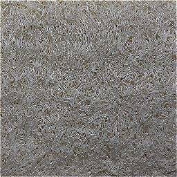 Photo_sponge_07.jpg