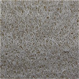 Photo_sponge_08.jpg