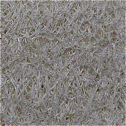 Photo_sponge_10.jpg
