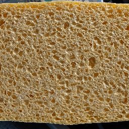 Photo_sponge_11.jpg