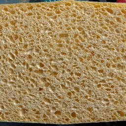 Photo_sponge_12.jpg