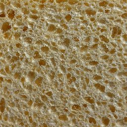 Photo_sponge_13.jpg