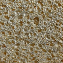 Photo_sponge_14.jpg