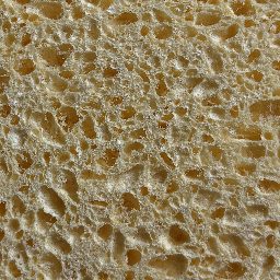 Photo_sponge_15.jpg