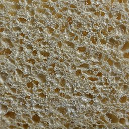 Photo_sponge_16.jpg