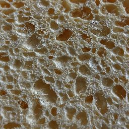 Photo_sponge_17.jpg
