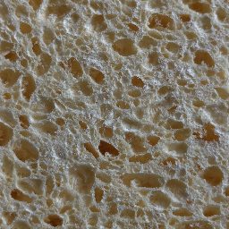 Photo_sponge_18.jpg