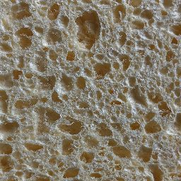 Photo_sponge_19.jpg
