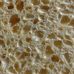 Photo_sponge_20.jpg