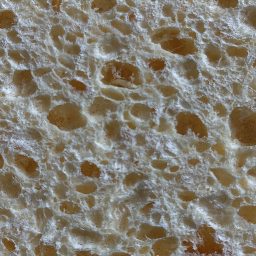 Photo_sponge_21.jpg