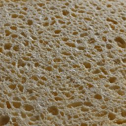 Photo_sponge_22.jpg