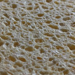 Photo_sponge_23.jpg