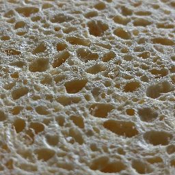 Photo_sponge_24.jpg