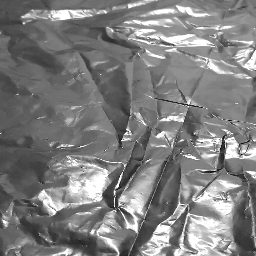 Photo_trash_bag_18.jpg