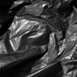 Photo_trash_bag_31.jpg
