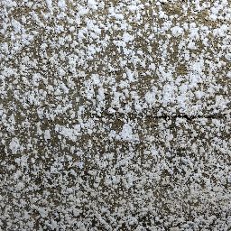Photo_wall_03.jpg