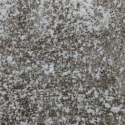 Photo_wall_06.jpg