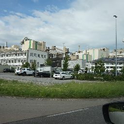 DSC01449.JPG