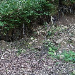 DSC02518.JPG