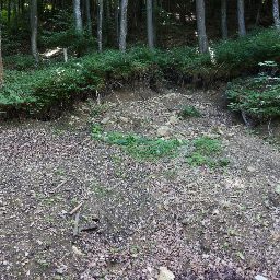 DSC02545.JPG