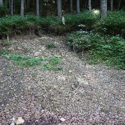 DSC02552.JPG