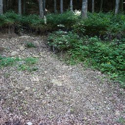 DSC02556.JPG