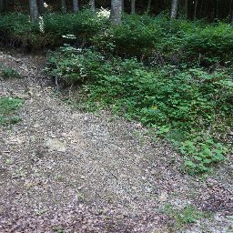 DSC02558.JPG