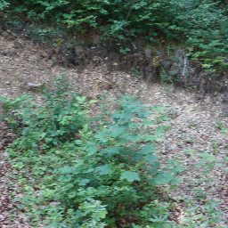 DSC02569.JPG