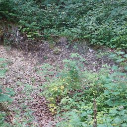 DSC02574.JPG