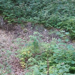 DSC02575.JPG