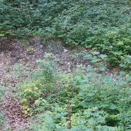 DSC02576.JPG