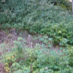 DSC02577.JPG