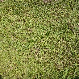 DSC02826.JPG