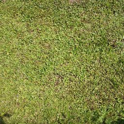 DSC02827.JPG