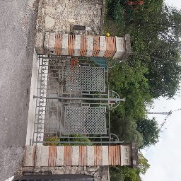 DSC03574.JPG
