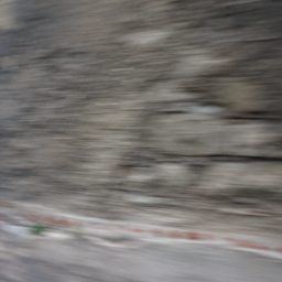 DSC03580.JPG