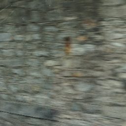 DSC03582.JPG