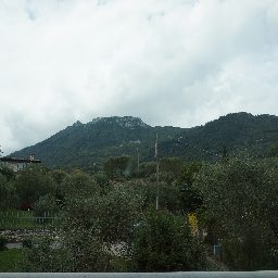 DSC03591.JPG