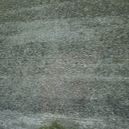 DSC03607.JPG