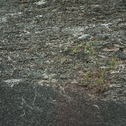 DSC03609.JPG